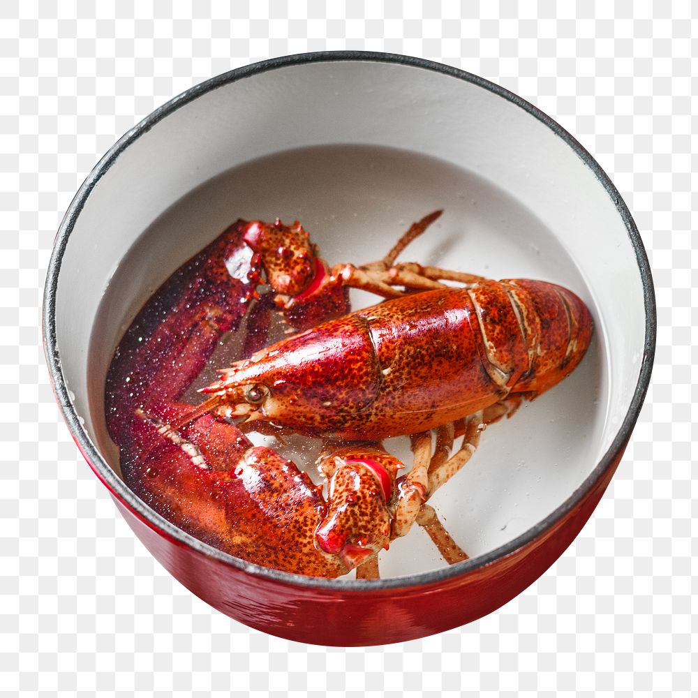 Cooked lobster png collage element, transparent background