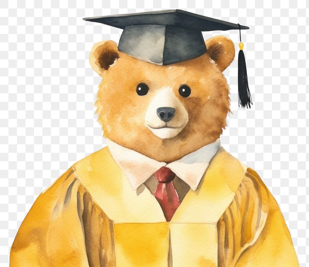 PNG Teacher bear graduation cartoon white background. AI generated Image by rawpixel.
