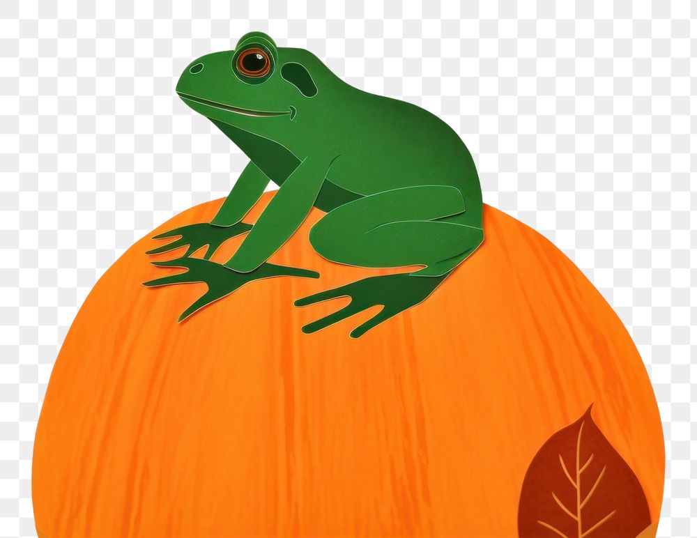 PNG Frog amphibian pumpkin animal. AI generated Image by rawpixel.