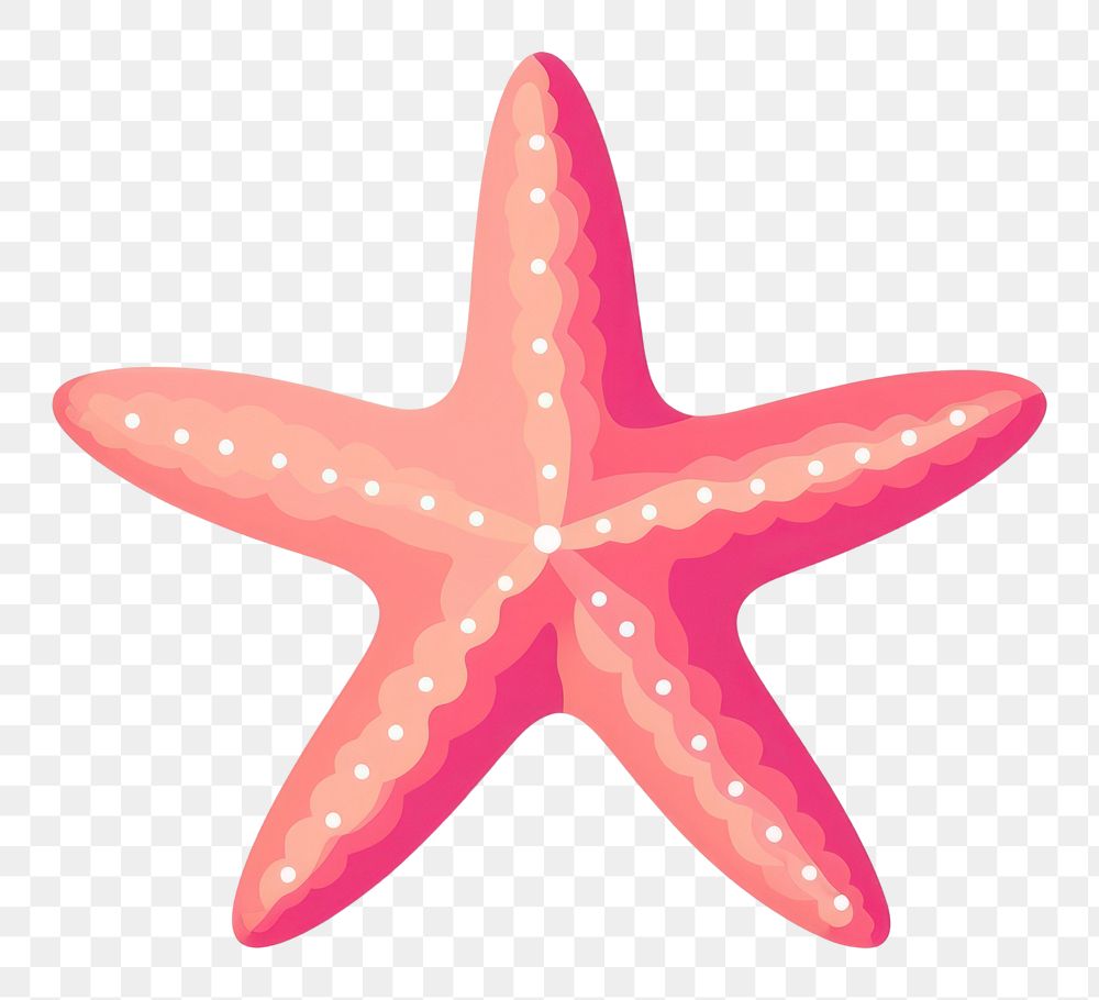 PNG Starfish pink white background invertebrate. AI generated Image by rawpixel.