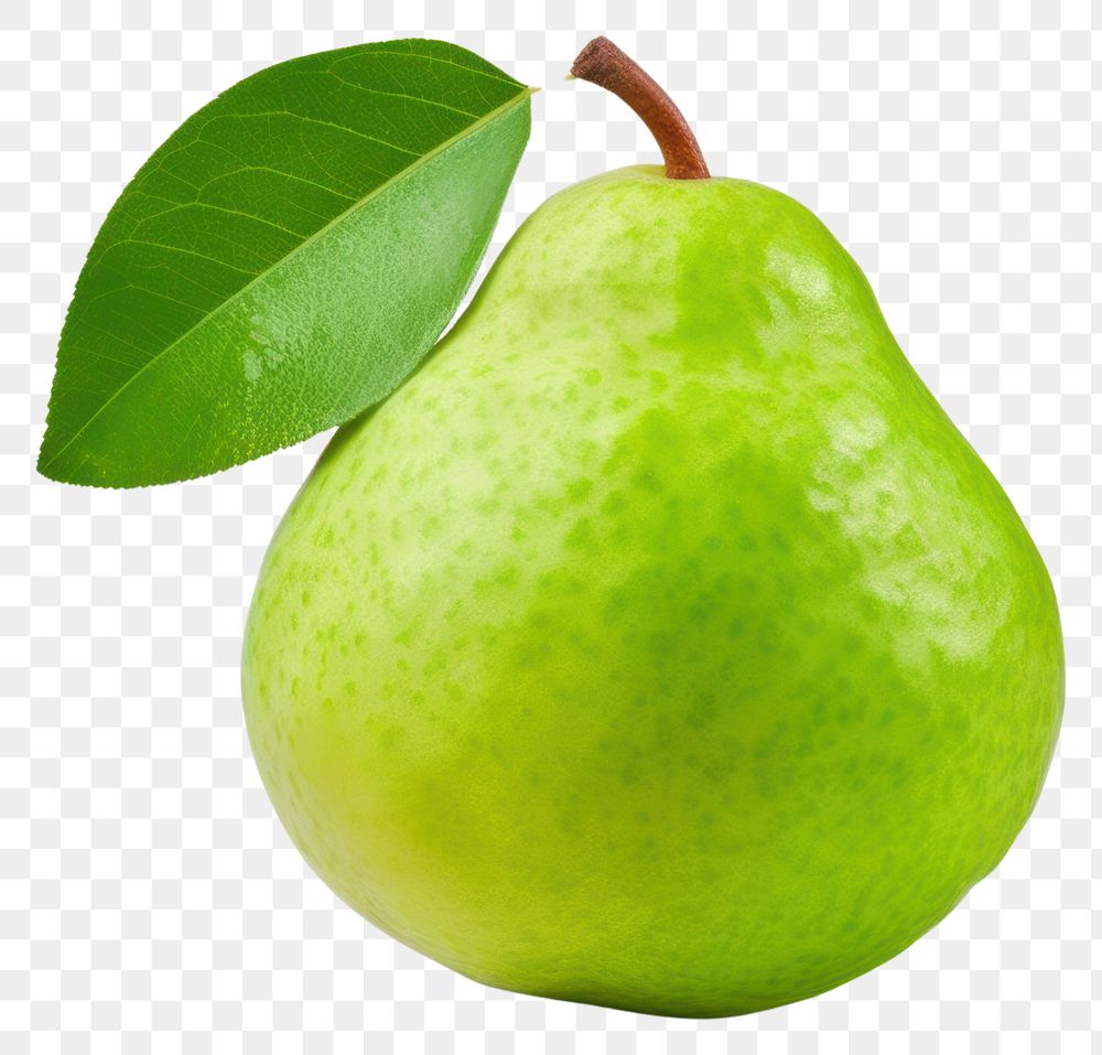PNG Single guava fruit plant pear. AI generated Image by rawpixel.