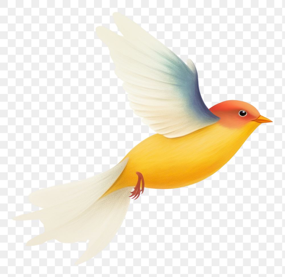 PNG Bird animal canary flying. AI generated Image by rawpixel.