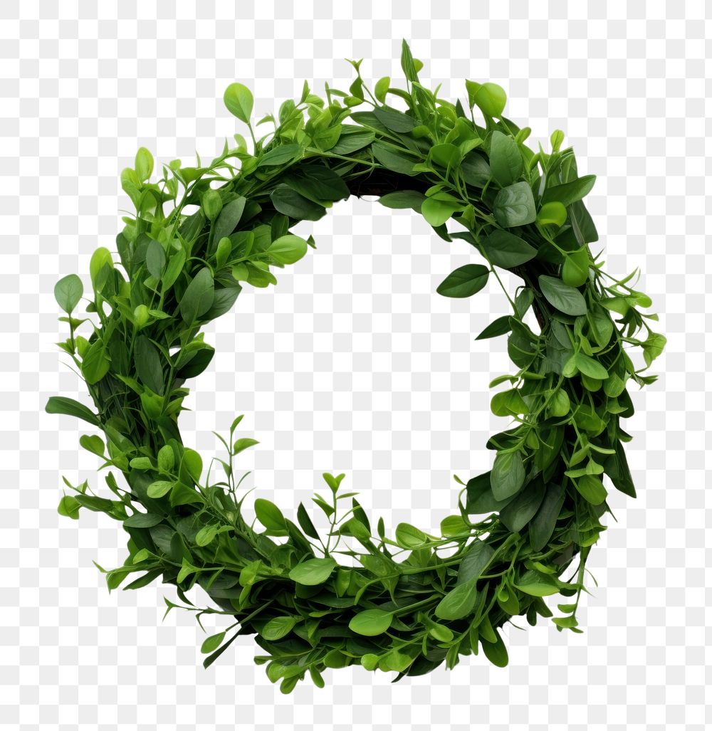 PNG Decorative wreath plant leaf. 