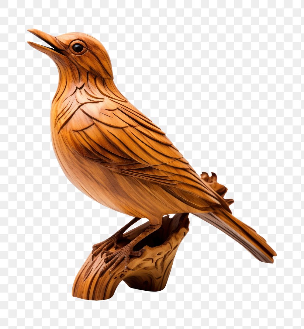 PNG  Craved wooden bird animal beak creativity. AI generated Image by rawpixel.