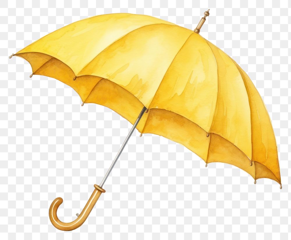 PNG Umbrella protection sheltering sunshade