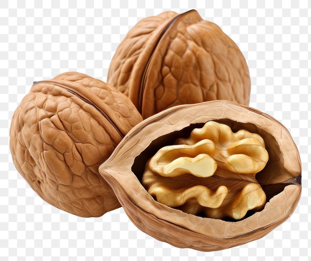 PNG  Walnuts walnut food white background. AI generated Image by rawpixel.