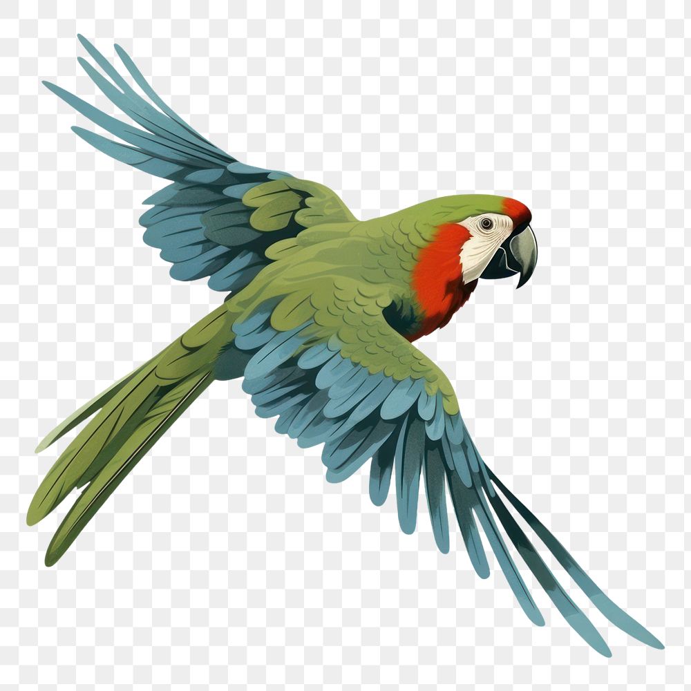 PNG Parrot animal macaw bird. AI generated Image by rawpixel.