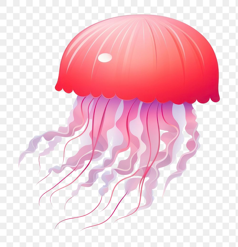 PNG Jellyfish red white background invertebrate. AI generated Image by rawpixel.