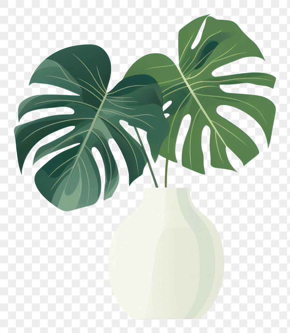 PNG Plant leaf vase  