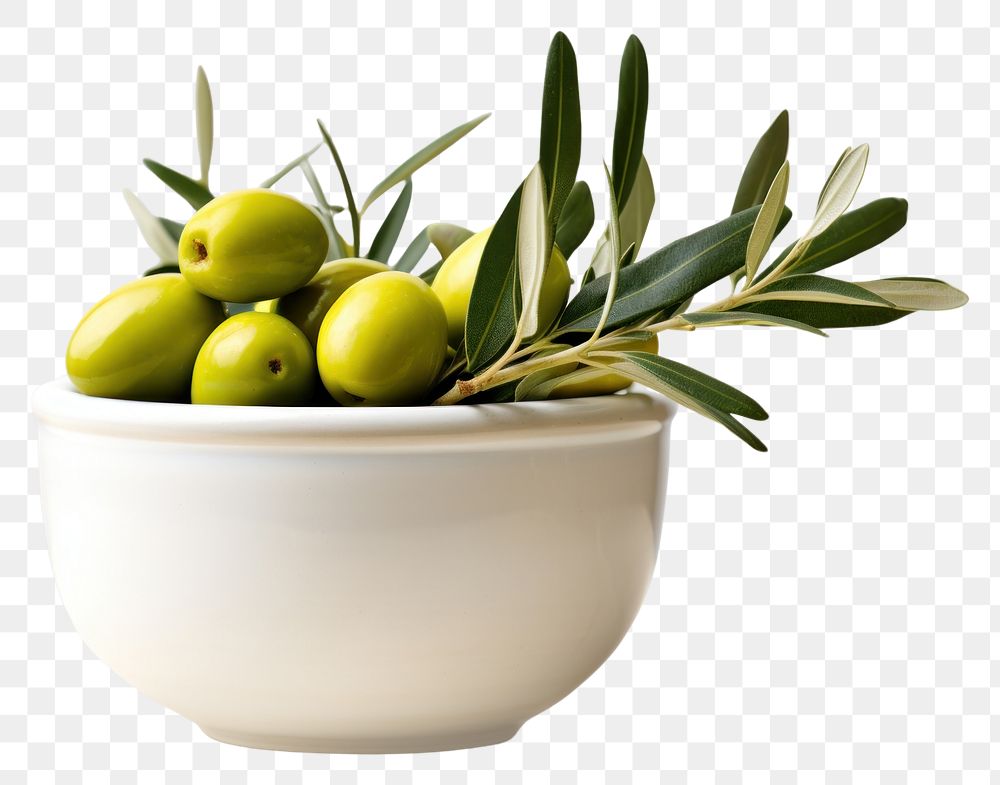 PNG  Olive fruit plant food. AI generated Image by rawpixel.