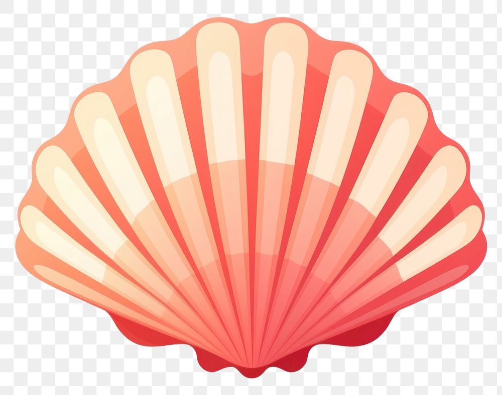 PNG Seashell clam white background invertebrate. AI generated Image by rawpixel.