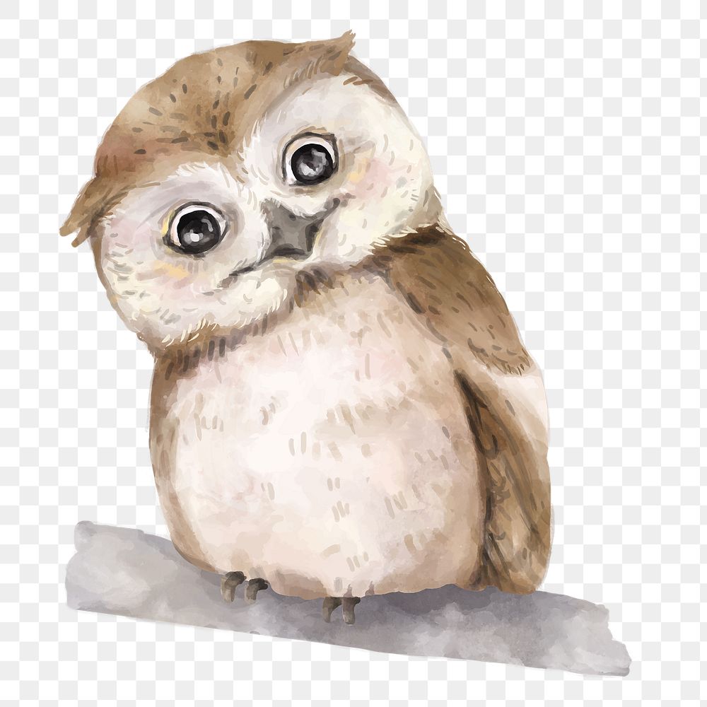 PNG baby owl watercolor element on transparent background