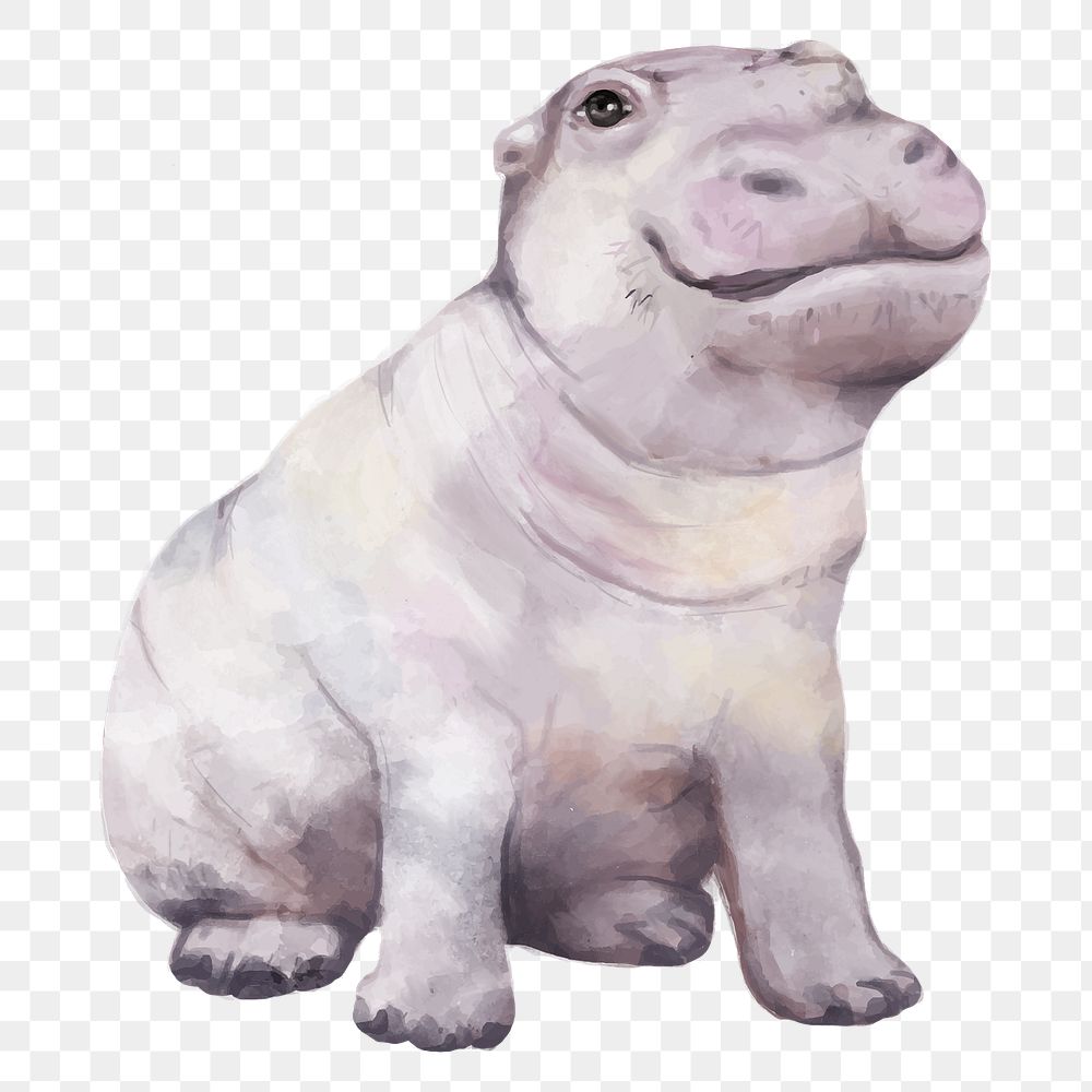 PNG baby hippo watercolor element on transparent background 