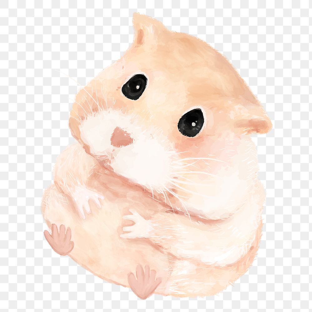 PNG cute hamster watercolor element on transparent background 