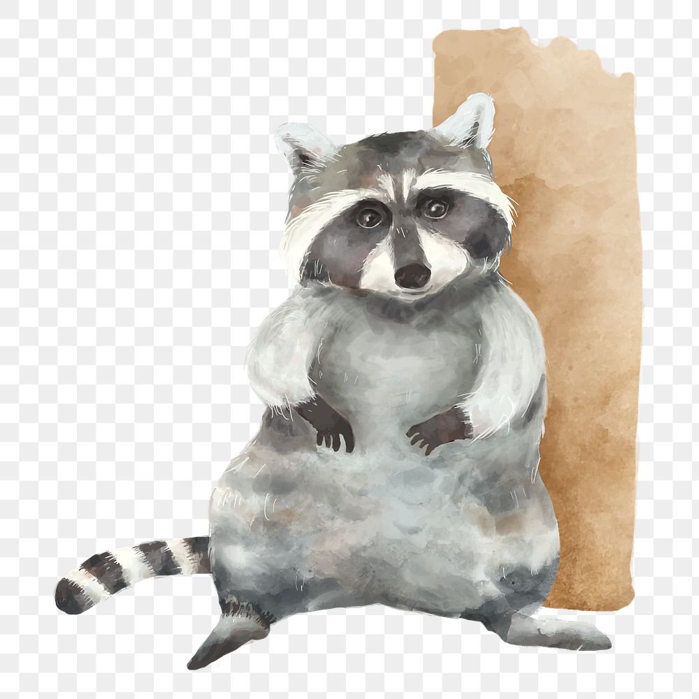 PNG raccoon watercolor element on transparent background