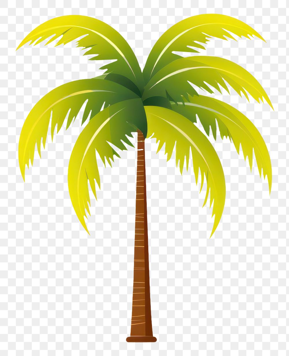 PNG Palm tree plant palm tree. 