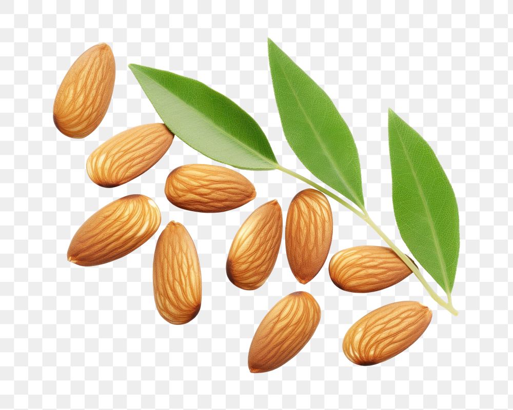 PNG Almonds almond food seed. 