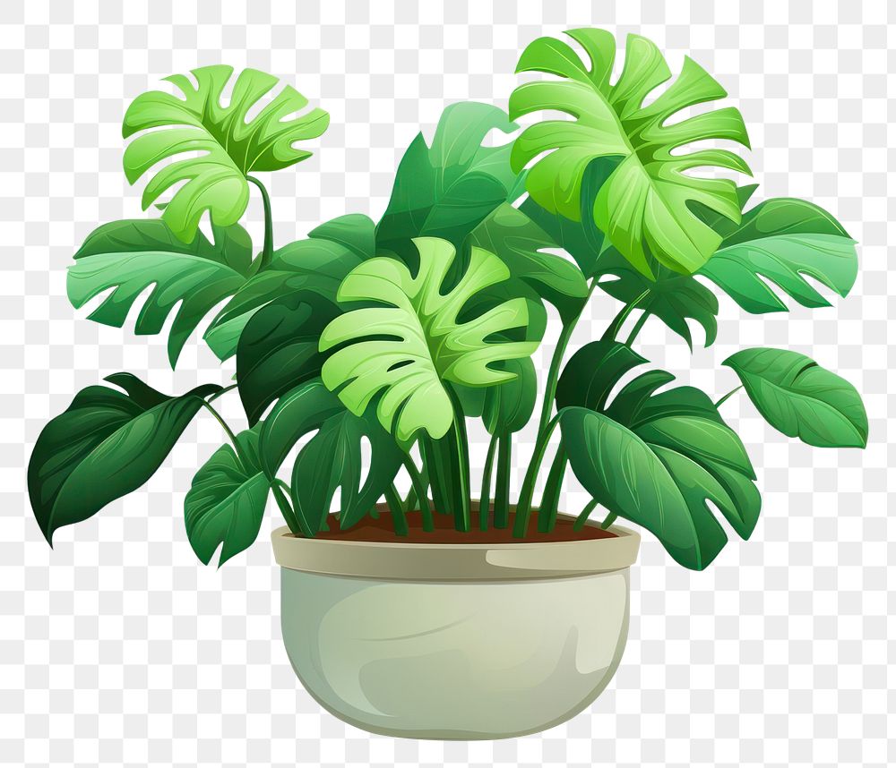 PNG  Plant green leaf houseplant. AI generated Image by rawpixel.