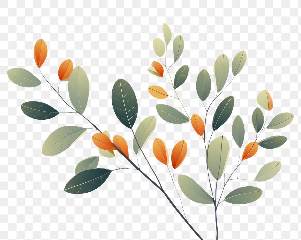 PNG  Leaf plant pattern branch green. AI generated Image by rawpixel.