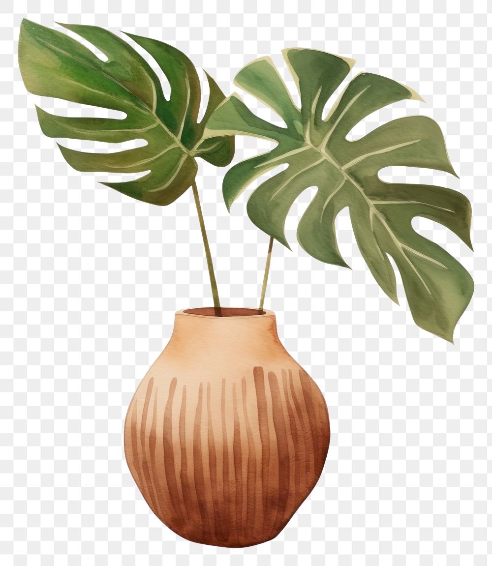 PNG Tropical plant vase leaf white background. AI generated Image by rawpixel.