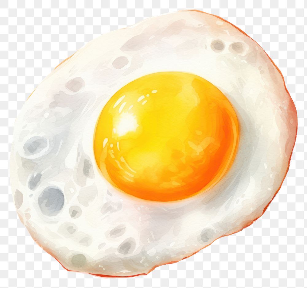 PNG A fried egg food white background freshness. AI generated Image by rawpixel.