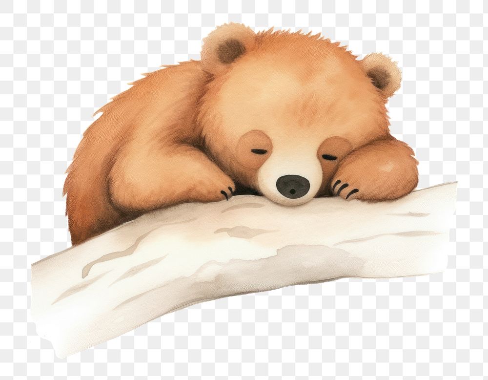 PNG Bear Baby sleep animal wildlife cartoon. AI generated Image by rawpixel.