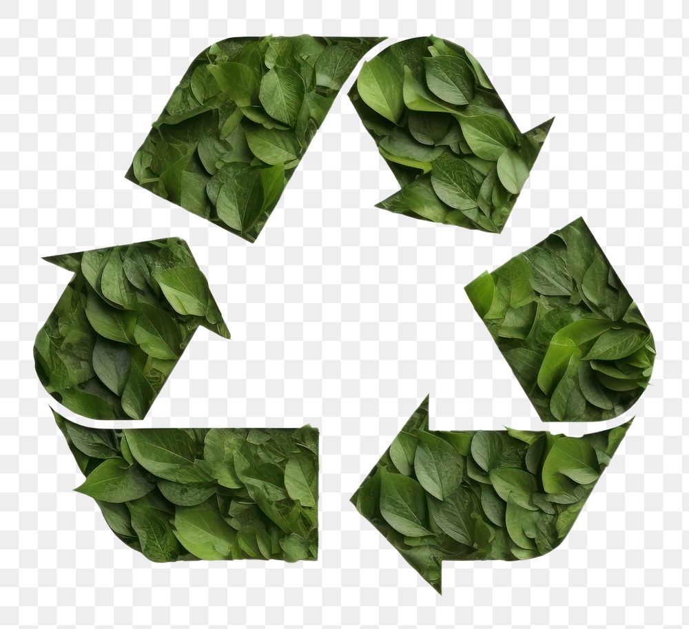 PNG Sign Recycle green plant leaf. AI generated Image by rawpixel.