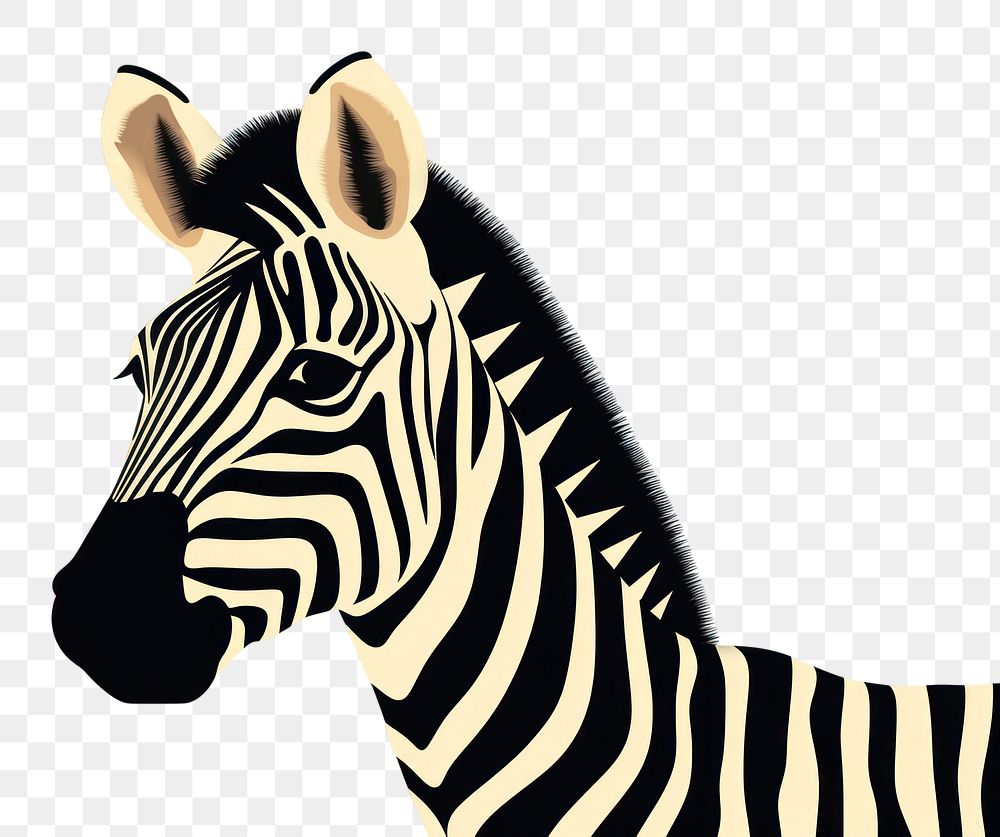 PNG Zebra zebra wildlife portrait. AI generated Image by rawpixel.