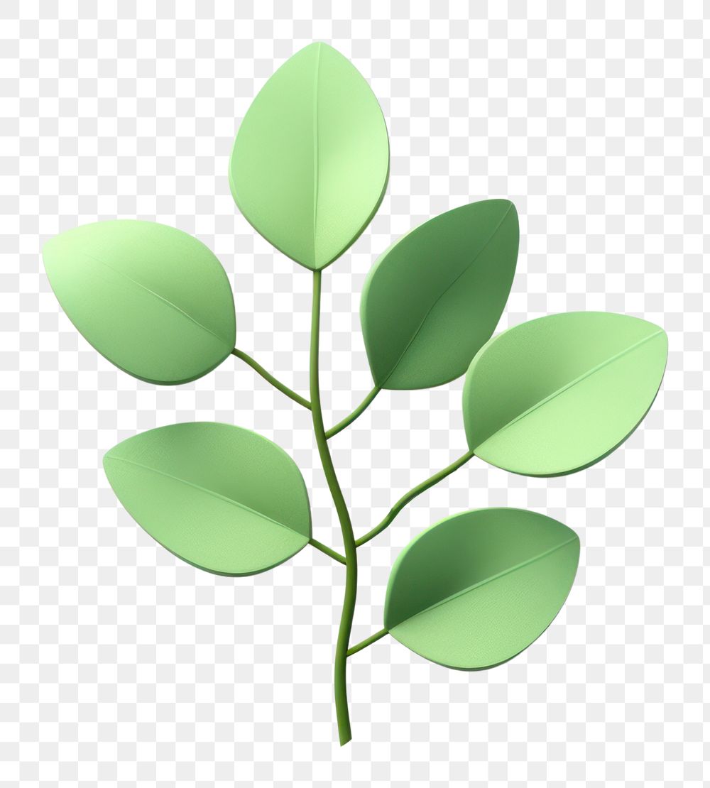 PNG Plant green herbs leaf. AI generated Image by rawpixel.