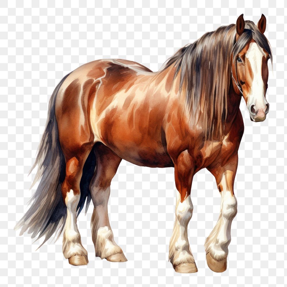 PNG Clydesdale horse stallion mammal animal. AI generated Image by rawpixel.