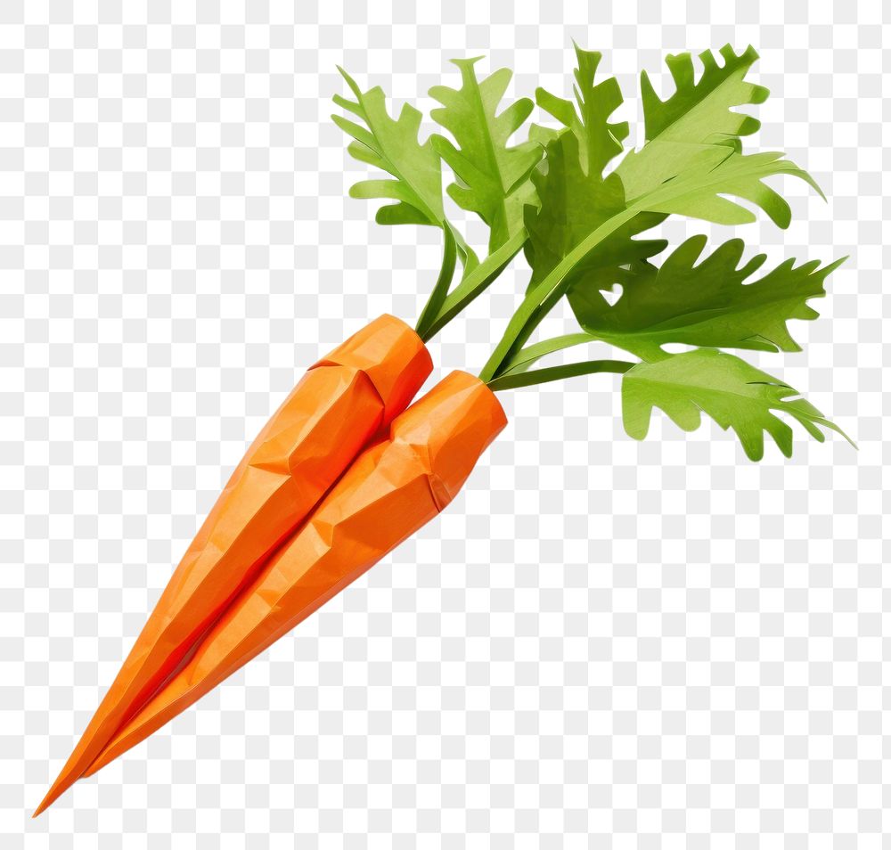 PNG  Carrots vegetable plant food. AI generated Image by rawpixel.