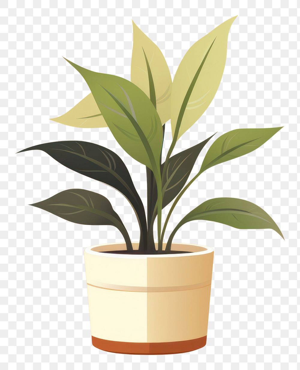 PNG Houseplant leaf flowerpot seedling. AI generated Image by rawpixel.