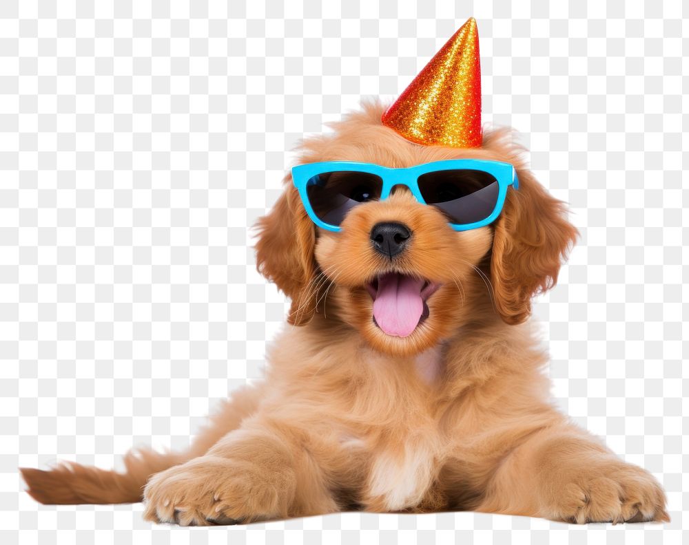 PNG Puppy celebrating sunglasses portrait mammal. AI generated Image by rawpixel.