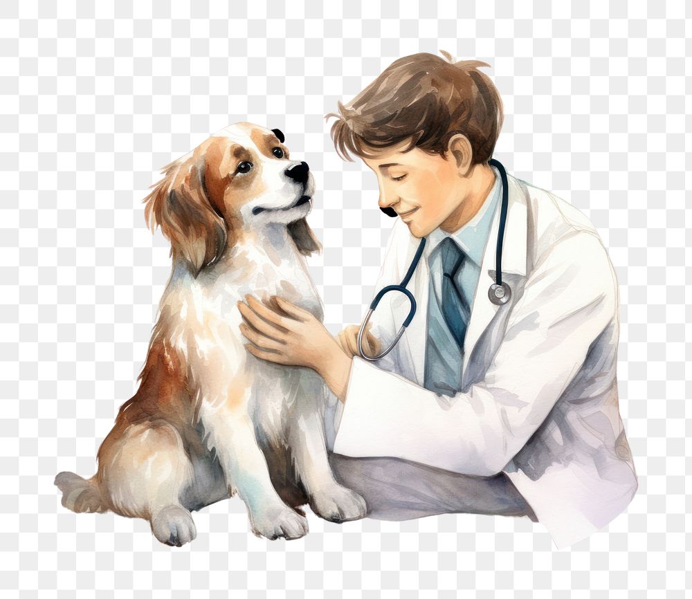 PNG Doctor dog veterinarian mammal. 