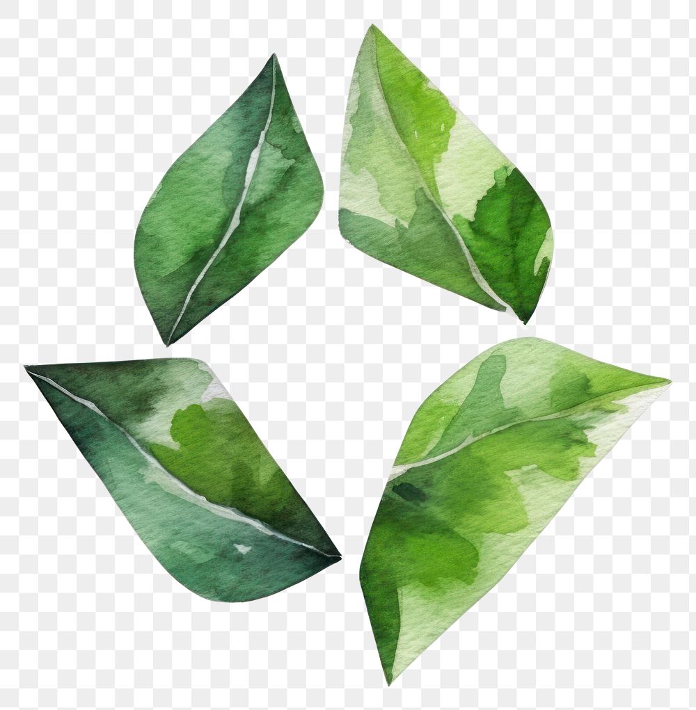 PNG Recycle icon plant leaf shape. AI generated Image by rawpixel.