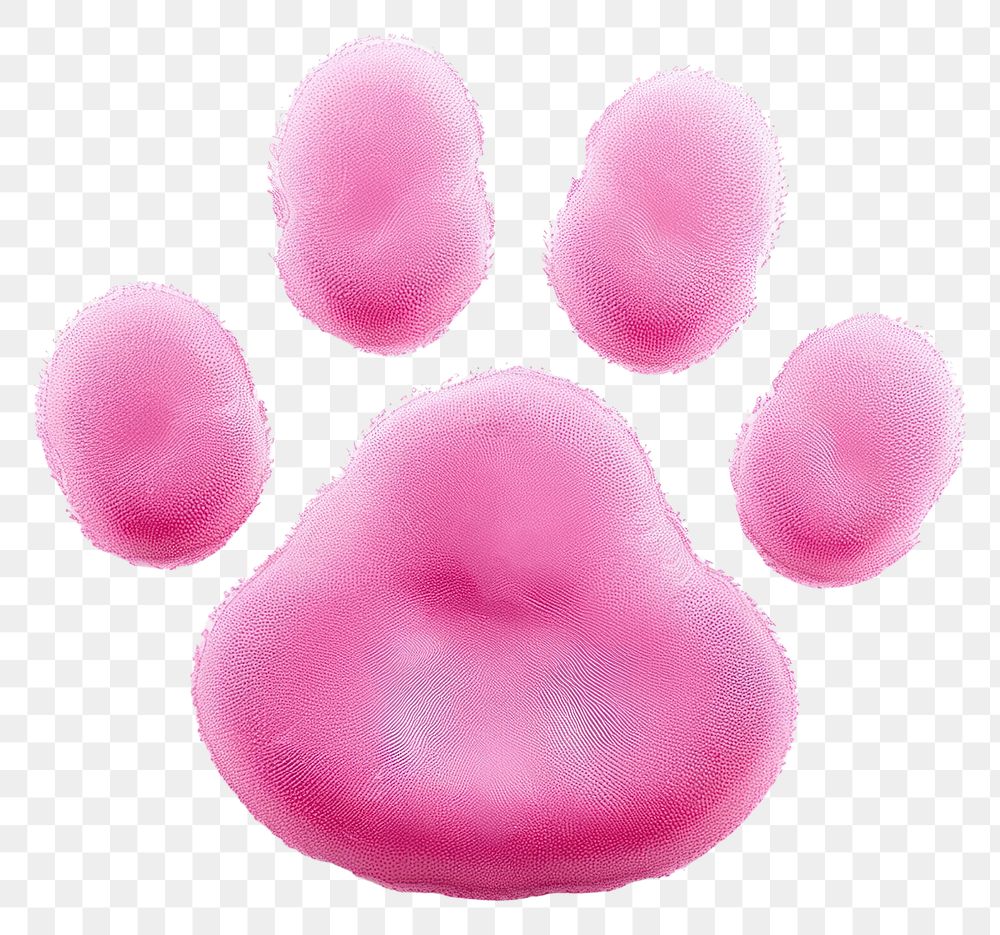 PNG Pink paw petal white background carnivora. AI generated Image by rawpixel.