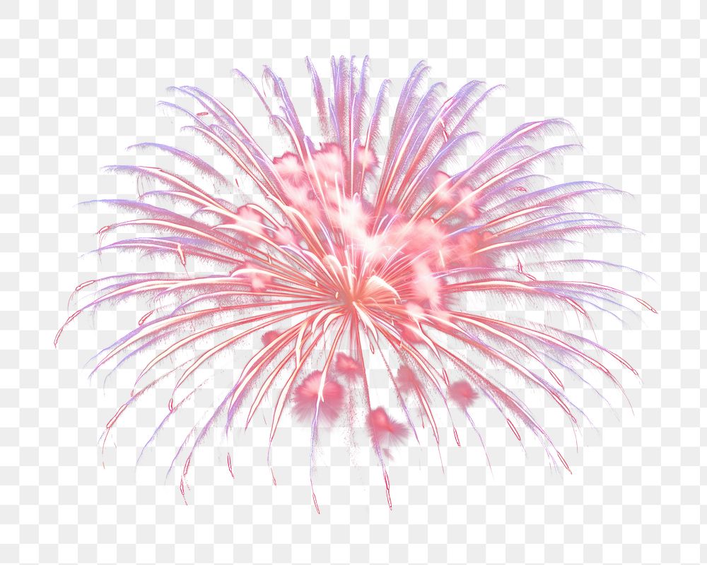 PNG Firework fireworks black background illuminated. 