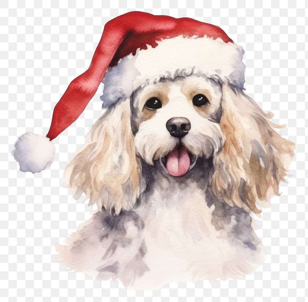 PNG Dog celebrating Christmas christmas spaniel mammal. 