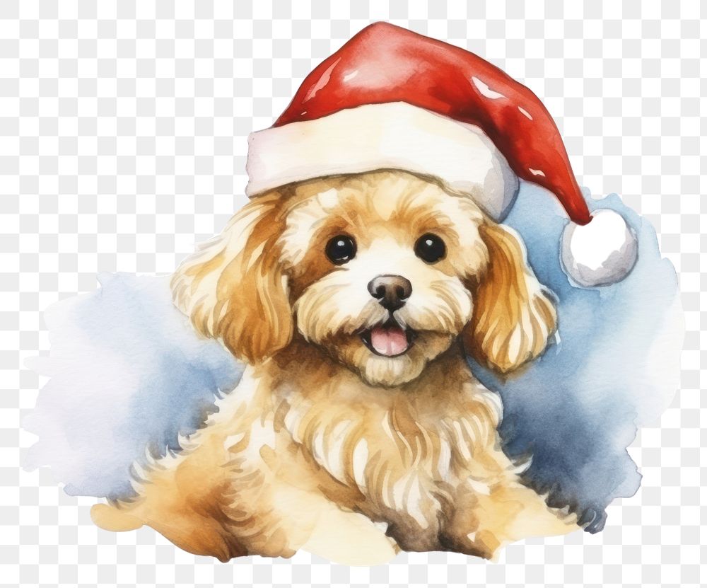 PNG Dog celebrating Christmas christmas mammal animal. AI generated Image by rawpixel.