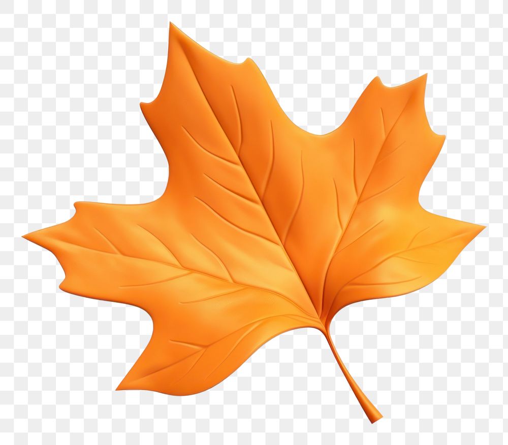 PNG Leaf autumn plant tree. AI generated Image by rawpixel.