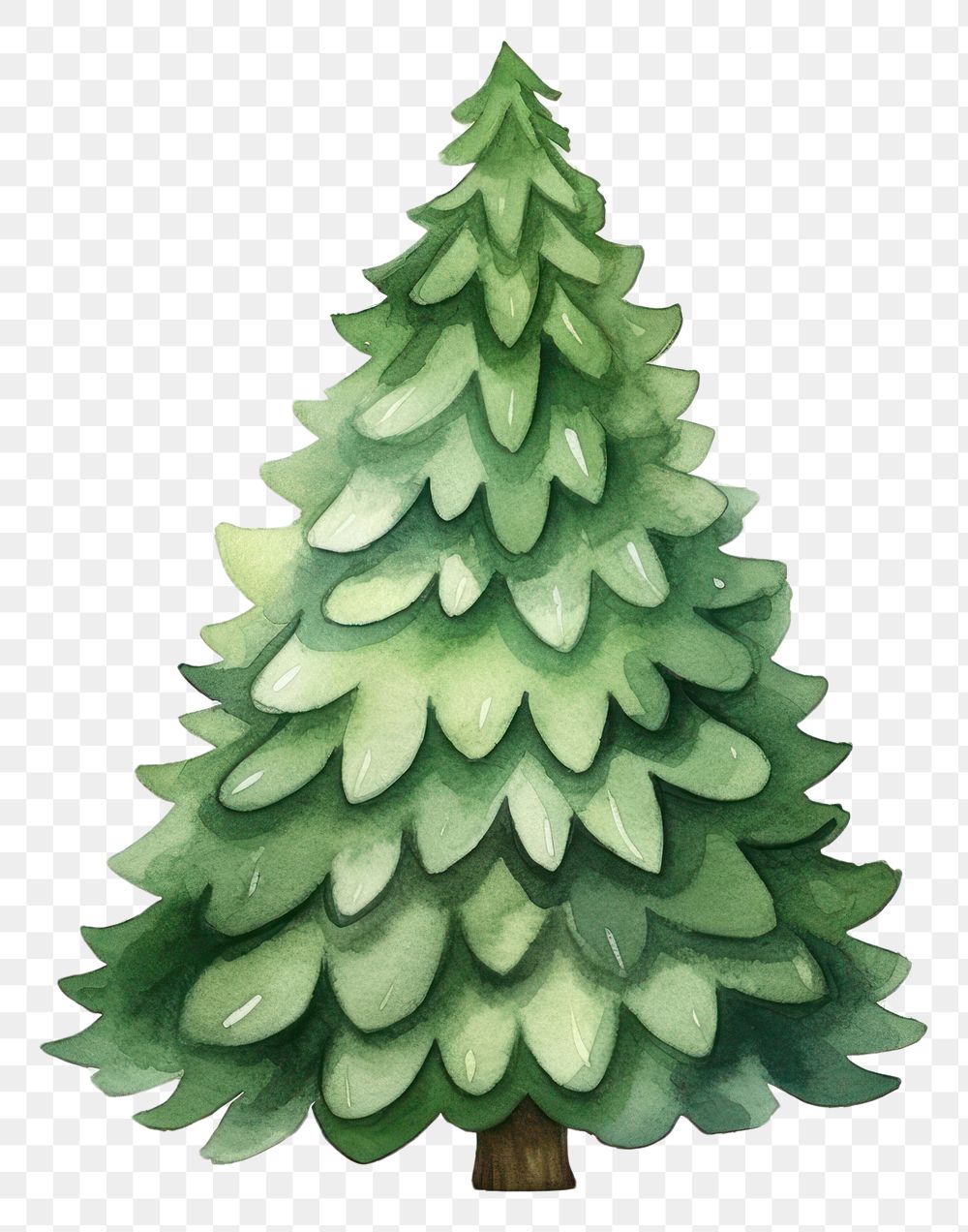 PNG Christmas tree plant white background celebration. AI generated Image by rawpixel.