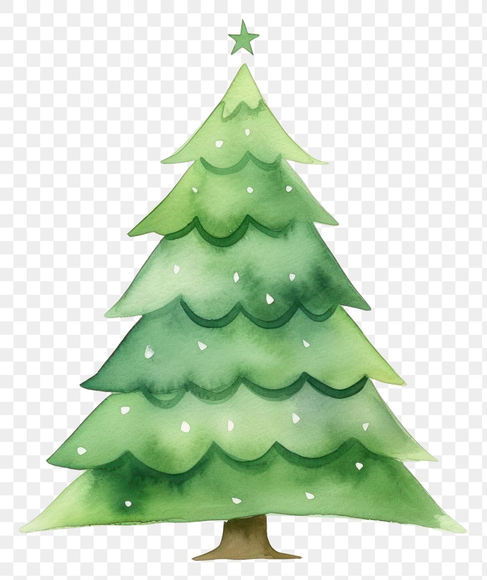 PNG Christmas tree plant white background celebration. AI generated Image by rawpixel.