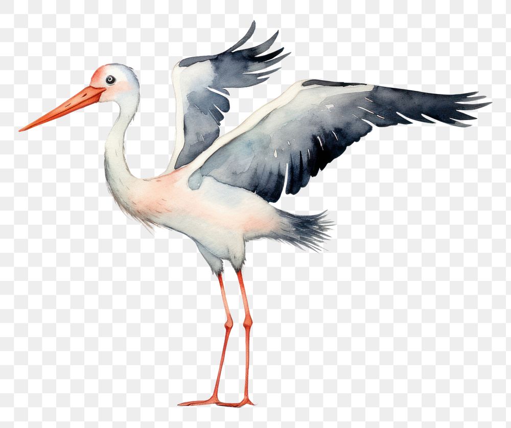 PNG  Stor stork animal bird AI generated Image by rawpixel