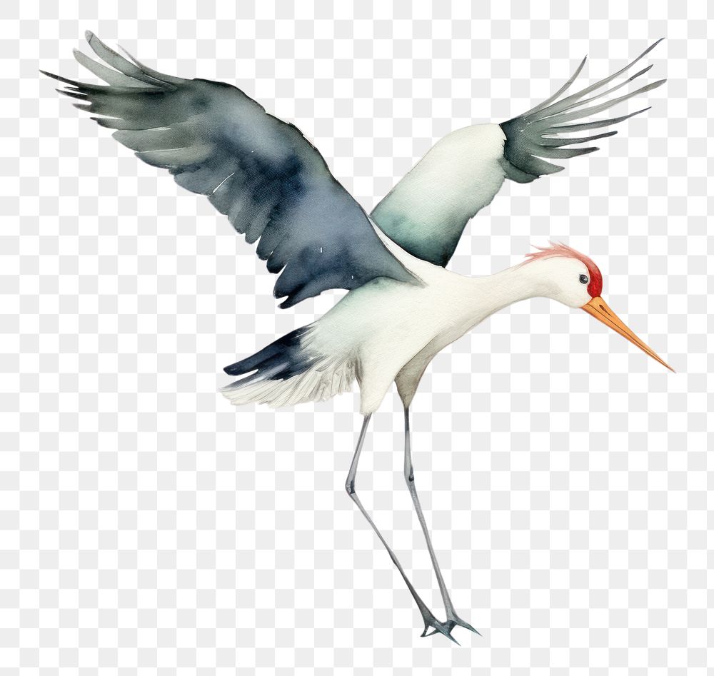 PNG  Stork stork animal flying. AI generated Image by rawpixel.