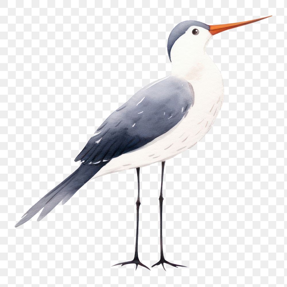 PNG Stork protects girl animal drawing cartoon. AI generated Image by rawpixel.