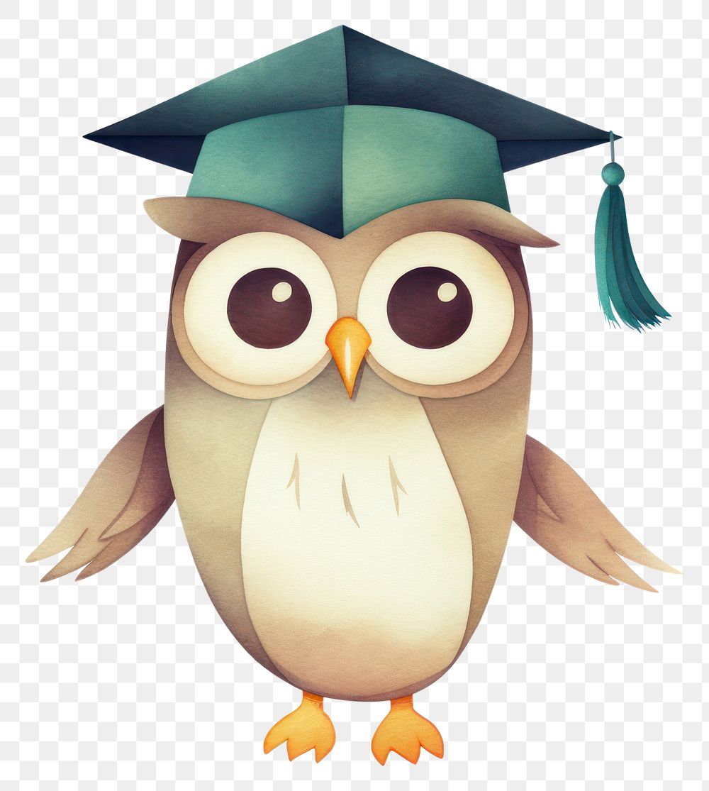 PNG Owl graduation animal cartoon. 