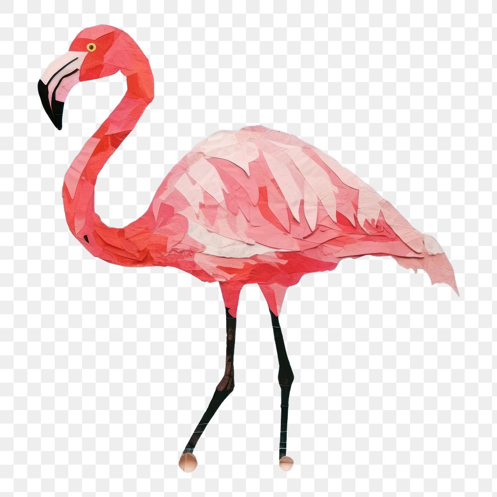 PNG Flamingo animal bird beak. AI generated Image by rawpixel.