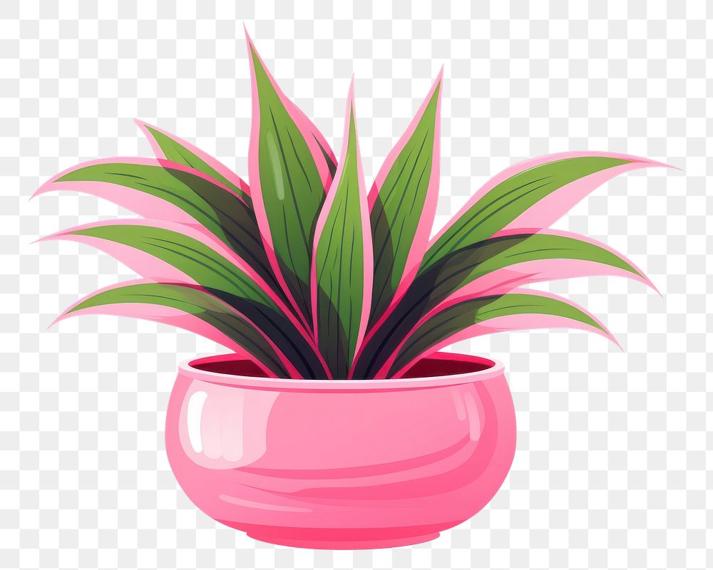 PNG Houseplant vase pink art. AI generated Image by rawpixel.
