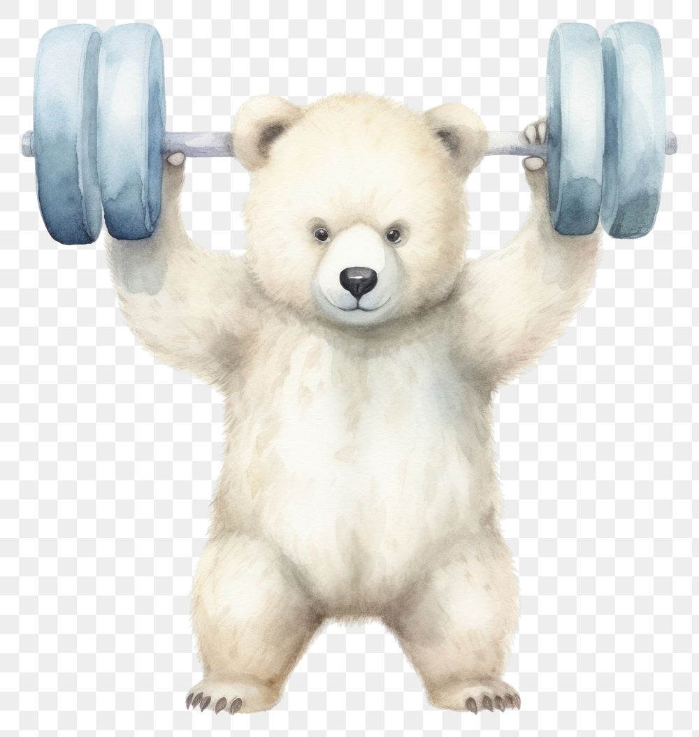 PNG Polar bear sports mammal animal. AI generated Image by rawpixel.