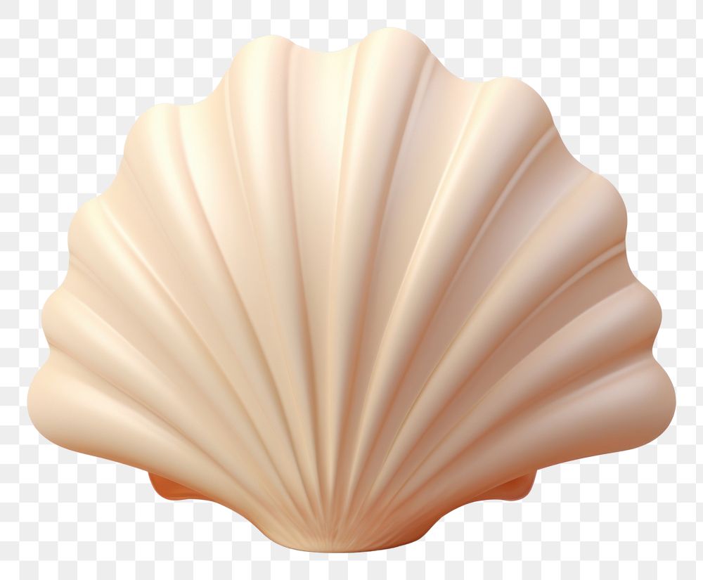 PNG Shell sea seashell clam. AI generated Image by rawpixel.